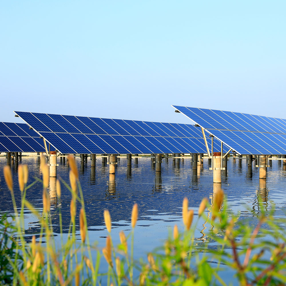 Dirk-Wiegand-Interim-Manager-Procurement-Expert-branchen-01