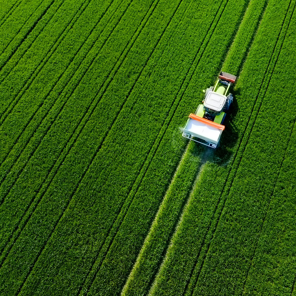 Dirk-Wiegand-Interim-Manager-Procurement-Expert-branchen-03